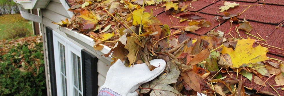 Gutter & downspouts cleaning